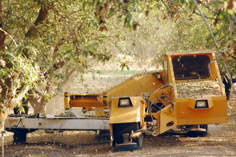 September 2016 Almond Market Update