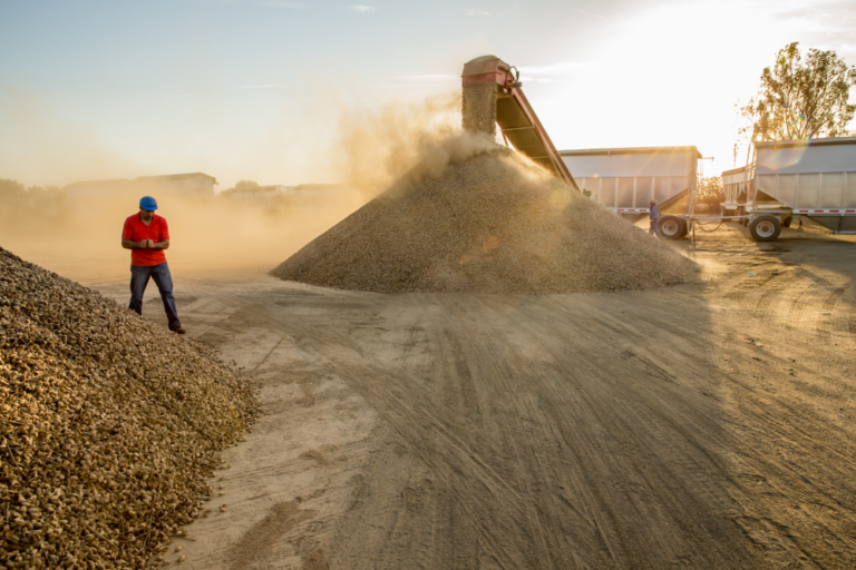 September 2018 Almond Market Update