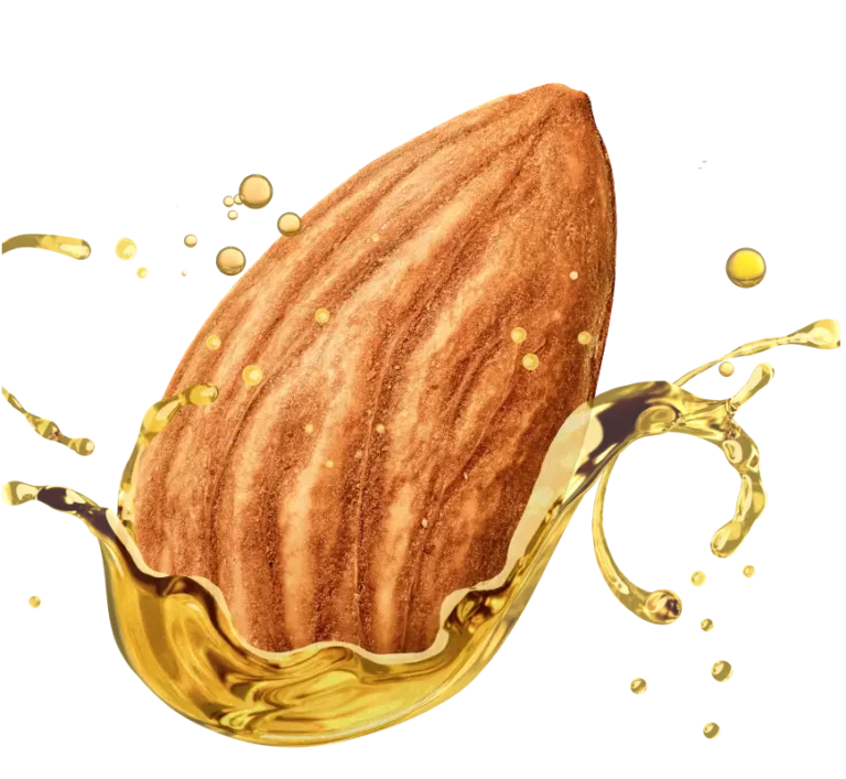 Whole Almond Dipped in Almond Oil