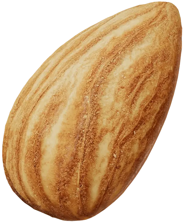 Treehouse Almonds Large Whole Almond