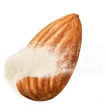 Almond protein powder covering a whole almond
