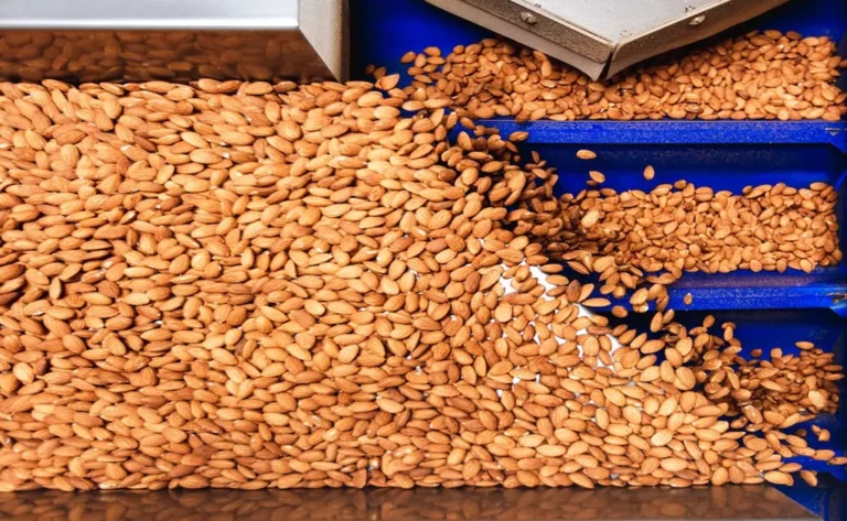 Treehouse Almond Market Update – December 17th, 2024