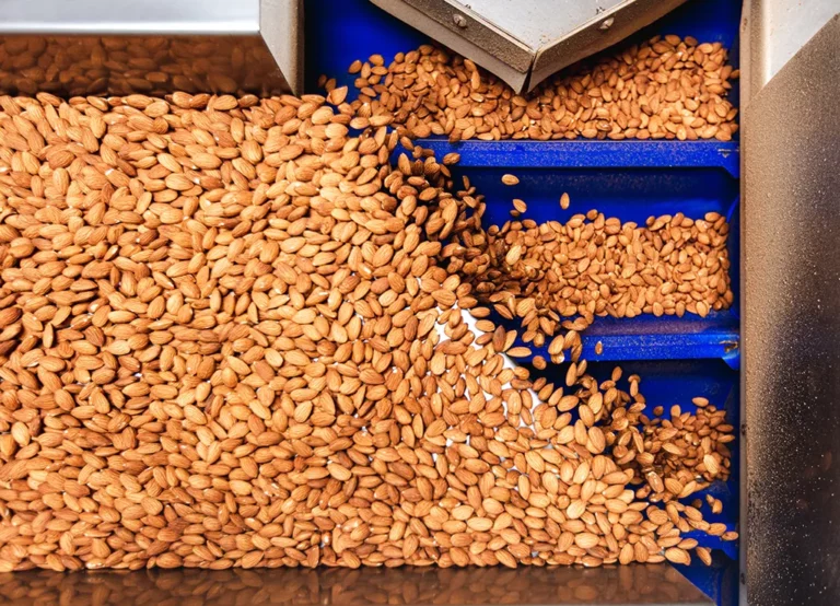 Treehouse Almond Market Update – June 12th, 2025