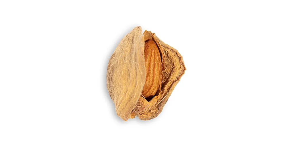 Benefits of Inshell Almonds