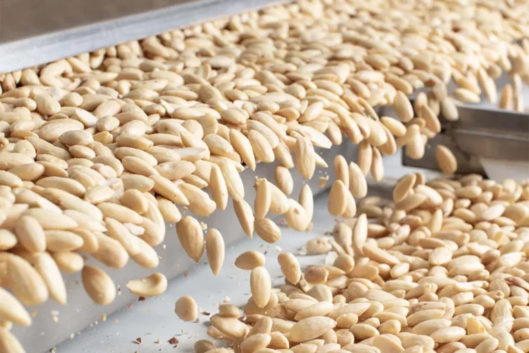 Treehouse California Almonds                                Market Update                                           November 13th, 2025