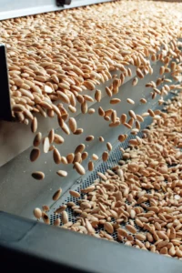 Discover why California almond farmers are the global benchmark for quality. Learn about family farming heritage, sustainability practices, and food safety standards.