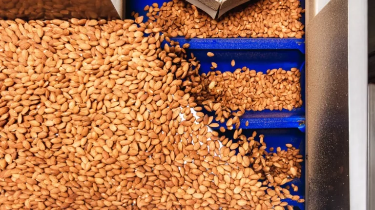Treehouse California Almonds - Market Update April 2026