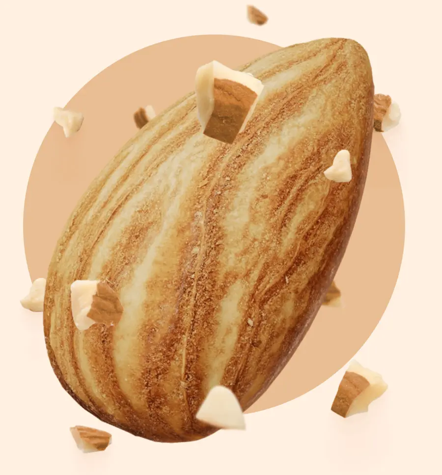 Diced Almonds